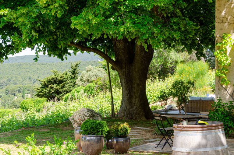 Jardin extérieur Cassis